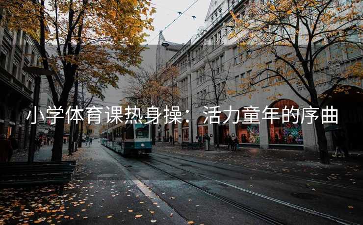 小学体育课热身操：活力童年的序曲