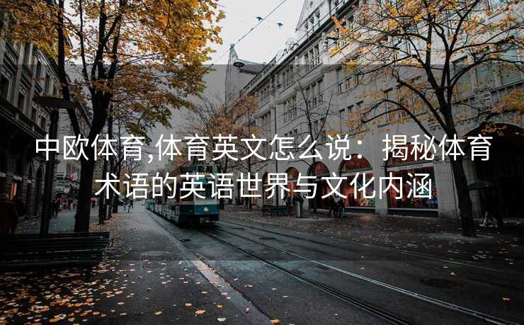 中欧体育,体育英文怎么说：揭秘体育术语的英语世界与文化内涵