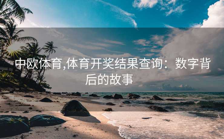 中欧体育,体育开奖结果查询：数字背后的故事  