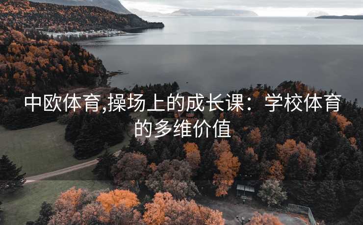 中欧体育,操场上的成长课：学校体育的多维价值