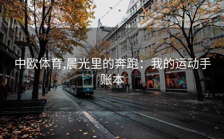 中欧体育,晨光里的奔跑：我的运动手账本