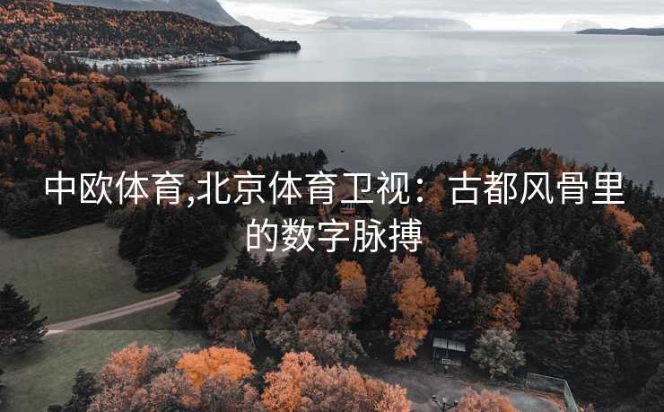 中欧体育,北京体育卫视：古都风骨里的数字脉搏