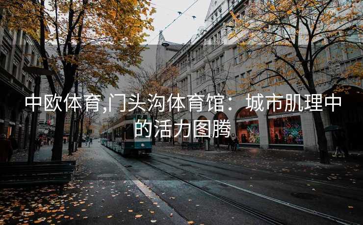 中欧体育,门头沟体育馆：城市肌理中的活力图腾