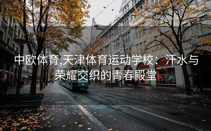 中欧体育,天津体育运动学校：汗水与荣耀交织的青春殿堂